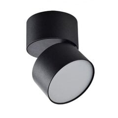 Berella Light потолочный светильник Rotu цена и информация | Потолочные светильники | kaup24.ee