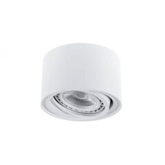 Berella Light потолочный светильник Eri цена и информация | Потолочные светильники | kaup24.ee