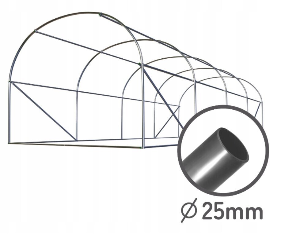 Kasvuhoone Lehmann, 4x2,5x2 m hind ja info | Kasvuhooned | kaup24.ee