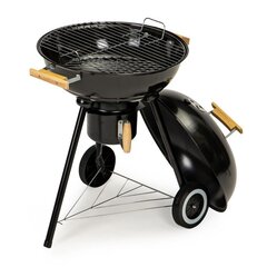 Söegrill Modern Home, 65x46x57 cm цена и информация | Грили | kaup24.ee