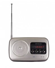 Orava RP130S цена и информация | Радиоприемники и будильники | kaup24.ee
