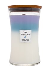 WoodWick ароматическая свеча Trilogy Calming Retreat 609,5 г цена и информация | Подсвечники, свечи | kaup24.ee