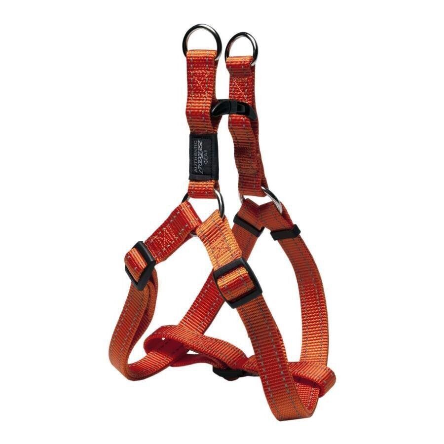 Koera traksid Rogz Step-in Fanbelt L 20mm/53-76cm, oranž hind ja info | Kaelarihmad ja traksid koertele | kaup24.ee