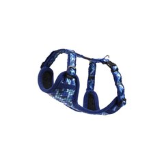 Koera traksid Rogz Fashion S 33-44cm, Amphibian Blue цена и информация | Ошейники, подтяжки для собак | kaup24.ee