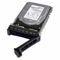 Жесткий диск Dell 400-BJRT 2 Тб цена и информация | Жёсткие диски (SSD, HDD) | kaup24.ee