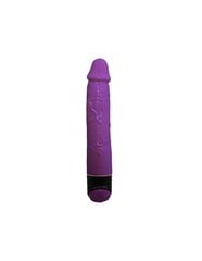 VÄRVILINE SEX REALISTIC VIBRATOR LILLA 23 CM hind ja info | Vibraatorid | kaup24.ee