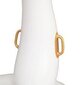 Täispuhutav parv Bestway Luxury Swan, 169x169 cm цена и информация | Täispuhutavad veemänguasjad ja ujumistarbed | kaup24.ee