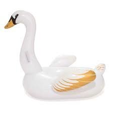 Täispuhutav parv Bestway Luxury Swan, 169x169 cm цена и информация | Täispuhutavad veemänguasjad ja ujumistarbed | kaup24.ee