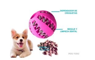 Kummist koeramänguasi, roosa, 7cm цена и информация | Игрушки для собак | kaup24.ee