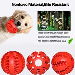 Резиновая игрушка для собак, красная, 5см цена и информация | Игрушки для собак | kaup24.ee