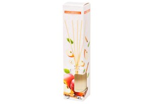 Bispol домашний запах с палочками Apple Cinnamon, 45 мл цена и информация | Ароматы для дома | kaup24.ee
