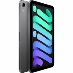 Планшет Apple iPad mini (2021) цена и информация | для планшетов | kaup24.ee