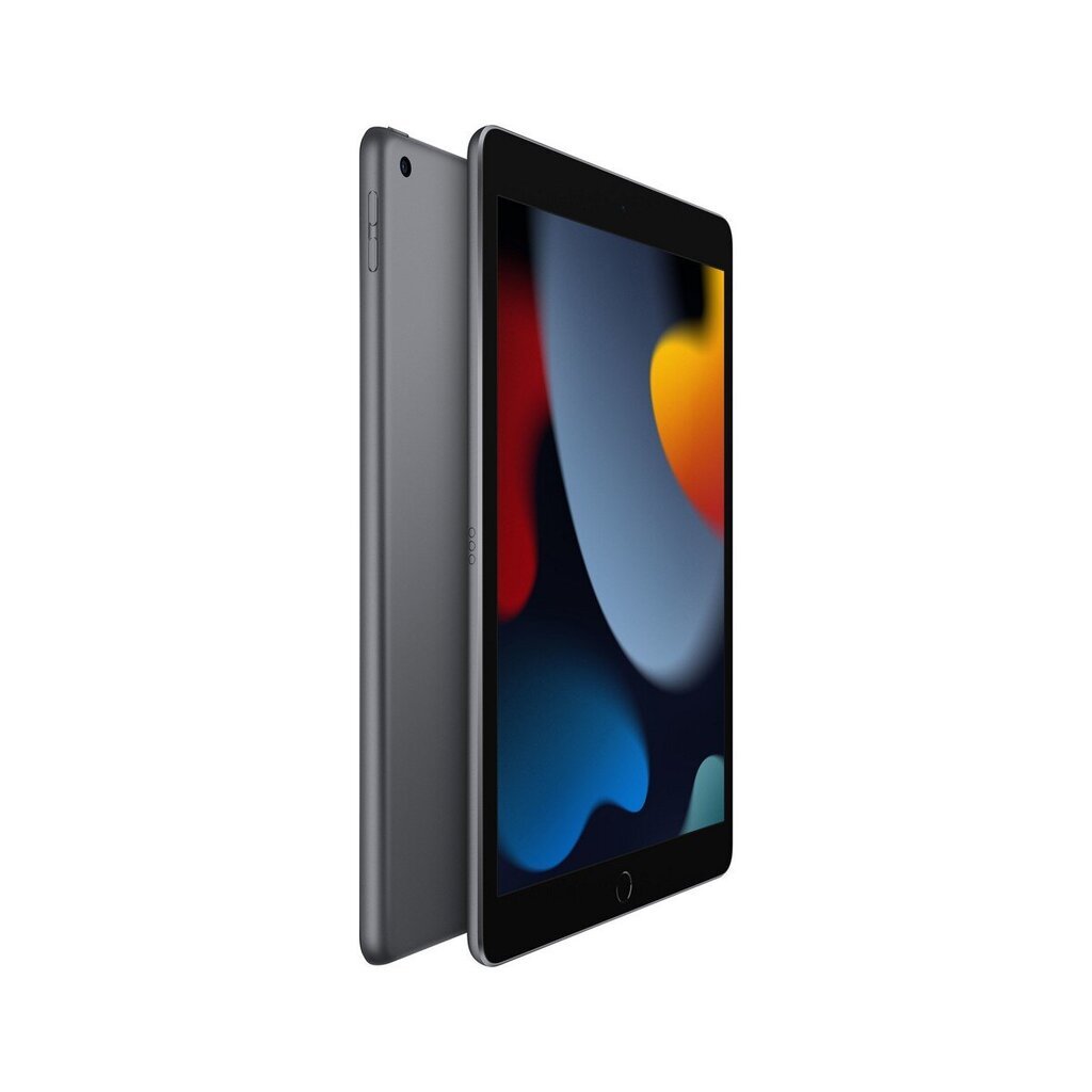 Apple iPad (2021) Hall 10,2" цена и информация | Tahvelarvutid | kaup24.ee