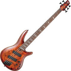 Basskitarr Ibanez SRMS805BTT hind ja info | Kitarrid | kaup24.ee