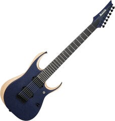 7-струнная электрогитара Ibanez RGDR4427FX NTF Prestige  цена и информация | Гитары | kaup24.ee