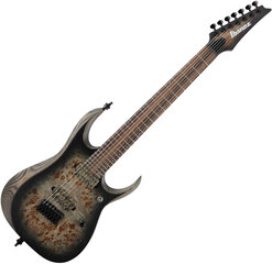 Электрогитара Ibanez RGD71ALPA CKF Axion Label (Charcoal burst black stained flat) цена и информация | Гитары | kaup24.ee