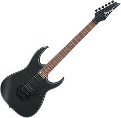 Электрогитара Ibanez RG320EXZ-BKF (Black flat) цена и информация | Гитары | kaup24.ee