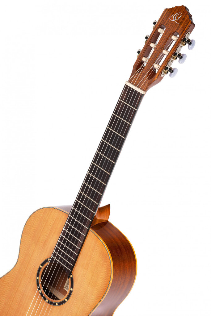 Klassikaline kitarr Ortega R122G Family Series цена и информация | Kitarrid | kaup24.ee