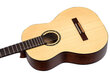 Klassikaline kitarr Ortega R55 Family Pro hind ja info | Kitarrid | kaup24.ee