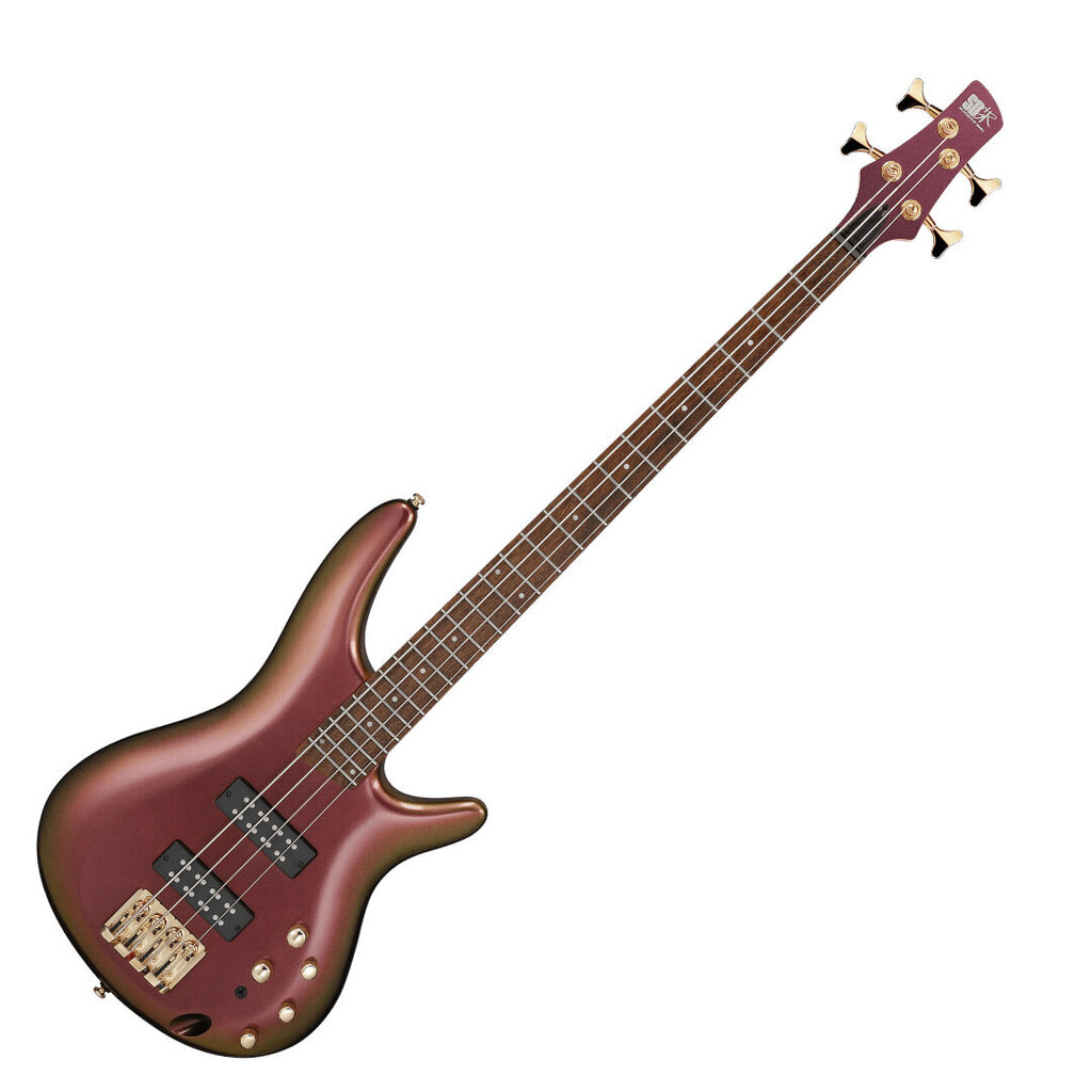 Basskitarr Ibanez SR300EDX-RGC hind ja info | Kitarrid | kaup24.ee