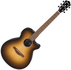Электроакустическая гитара Ibanez AEG50-DHH (Dark honey burst) цена и информация | Гитары | kaup24.ee