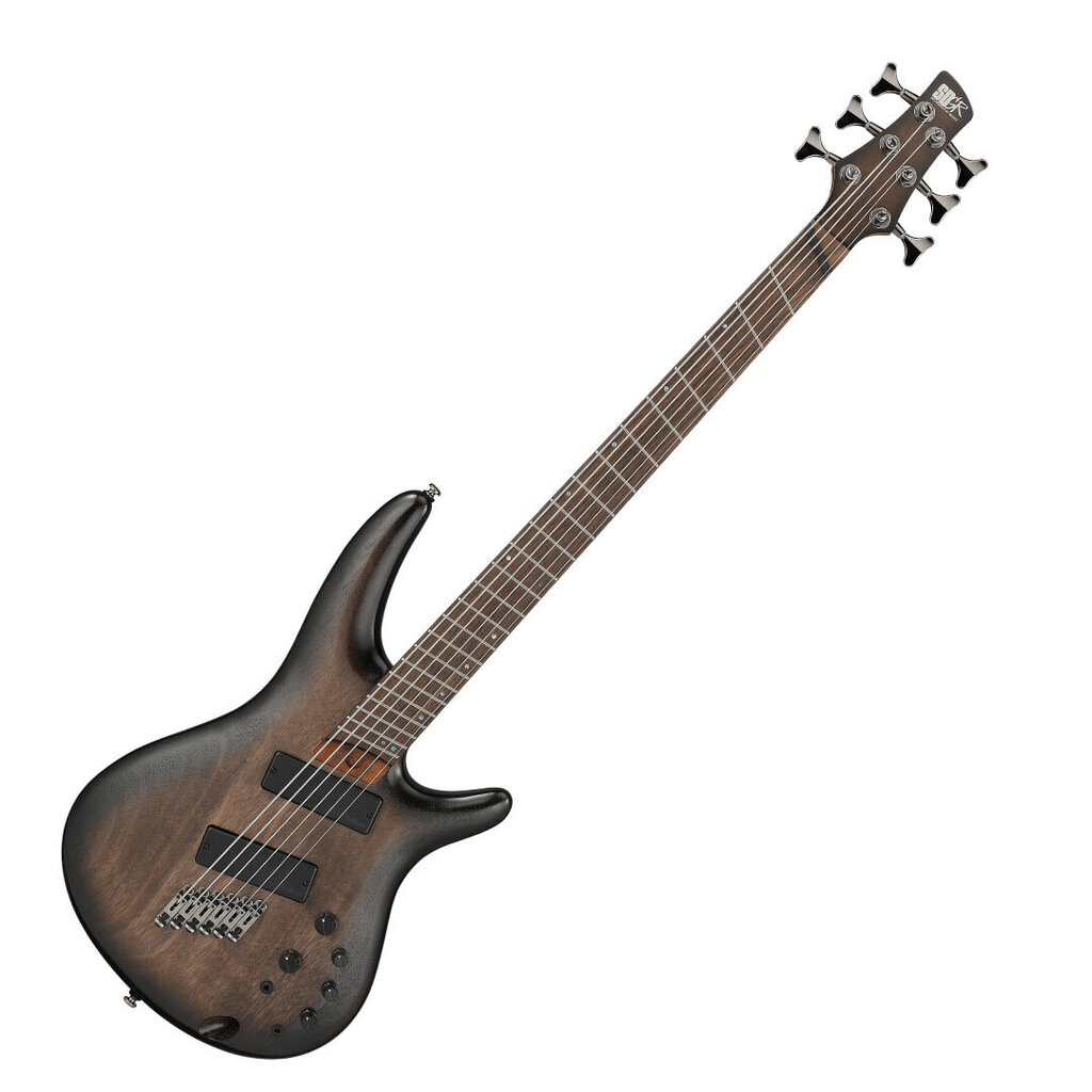 Basskitarr Ibanez SRC6MS-BLL цена и информация | Kitarrid | kaup24.ee