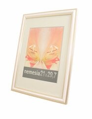 Рамка для фотографии Nemesia 21x29,7 см цена и информация | Рамки, фотоальбомы | kaup24.ee