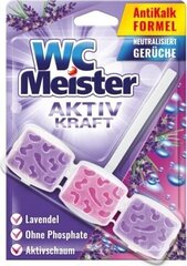 WC-värskendaja WC Meister, 1 tk hind ja info | Puhastusvahendid | kaup24.ee