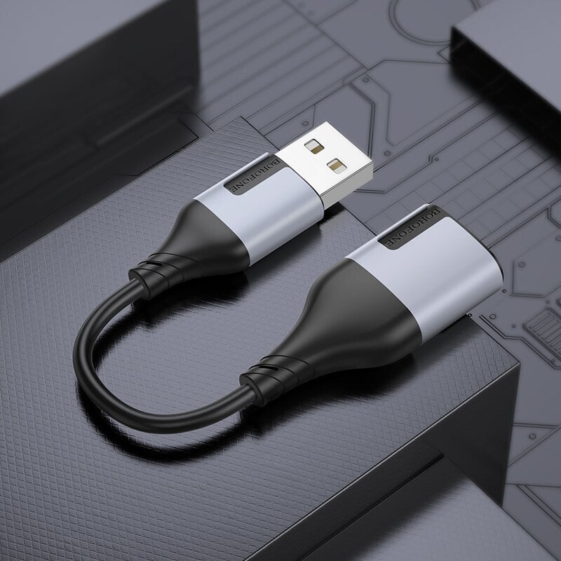 Borofone BV19 цена и информация | USB jagajad, adapterid | kaup24.ee