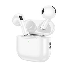 Borofone TWS Bluetooth Earphones BW64 True white цена и информация | Наушники | kaup24.ee