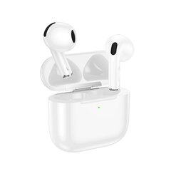 Borofone TWS Bluetooth Earphones BW64 True white цена и информация | Наушники | kaup24.ee