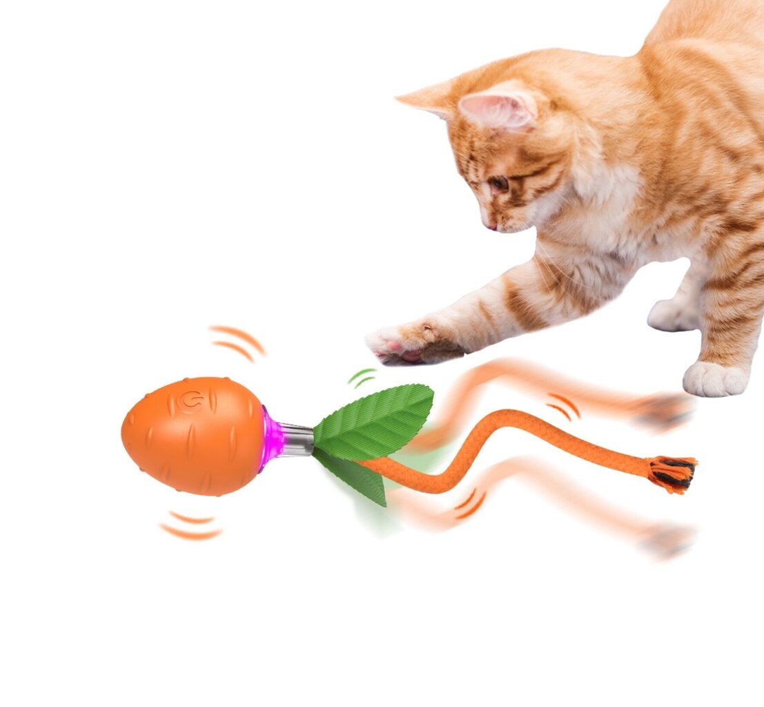 Interaktiivne mänguasi kassidele Smart Cat Ball Carrot Haplix hind ja info | Mänguasjad kassidele | kaup24.ee