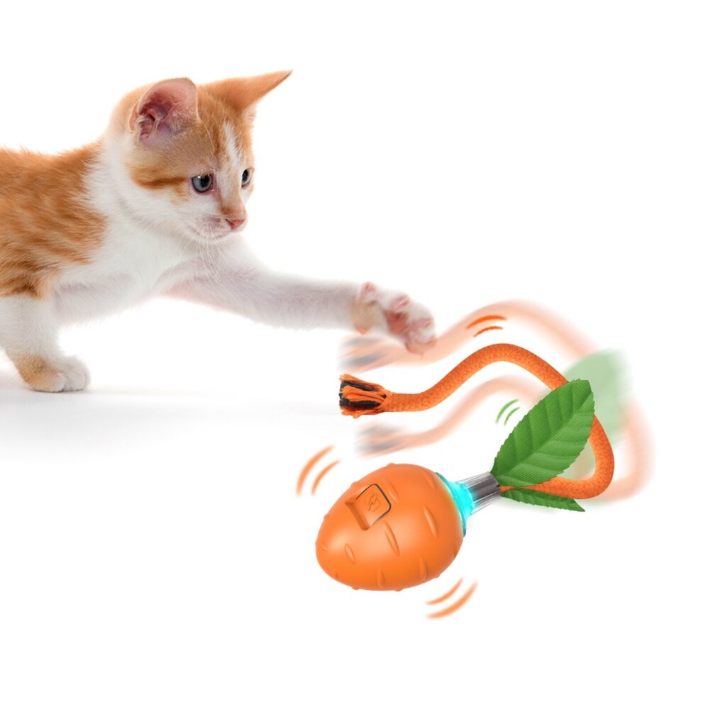 Interaktiivne mänguasi kassidele Smart Cat Ball Carrot Haplix hind ja info | Mänguasjad kassidele | kaup24.ee