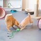Interaktiivne nutikas mänguasi kassidele pallike Smart Cat Ball Green hind ja info | Mänguasjad kassidele | kaup24.ee