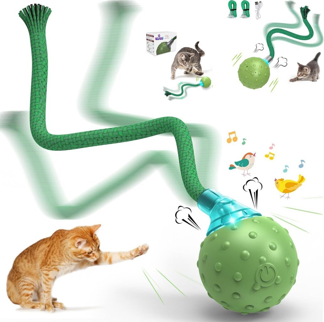 Interaktiivne nutikas mänguasi kassidele pallike Smart Cat Ball Green цена и информация | Mänguasjad kassidele | kaup24.ee