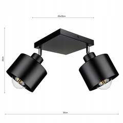 Led-lux laelamp, must цена и информация | Потолочные светильники | kaup24.ee