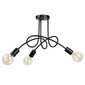 Led-lux laelamp, must hind ja info | Laelambid | kaup24.ee