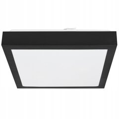 Led-lux laevalgusti, 27,5x27,5cm цена и информация | Потолочные светильники | kaup24.ee