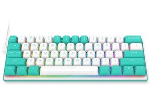 Redragon K683WB-RGB цена и информация | Клавиатуры | kaup24.ee