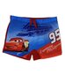 Ujumispüksid poistele 700205 03, erinevad värvid hind ja info | Poiste ujumispüksid | kaup24.ee