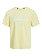 T-särk poistele Jack & Jones, kollane hind ja info | Poiste särgid | kaup24.ee