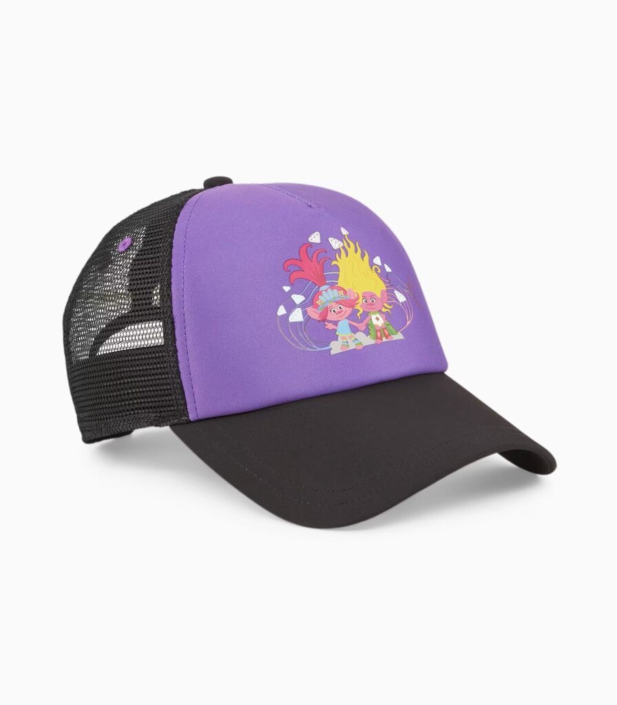 Müts tüdrukutele Puma 025159*02, erinevaid värve hind ja info | Tüdrukute mütsid, sallid, kindad | kaup24.ee