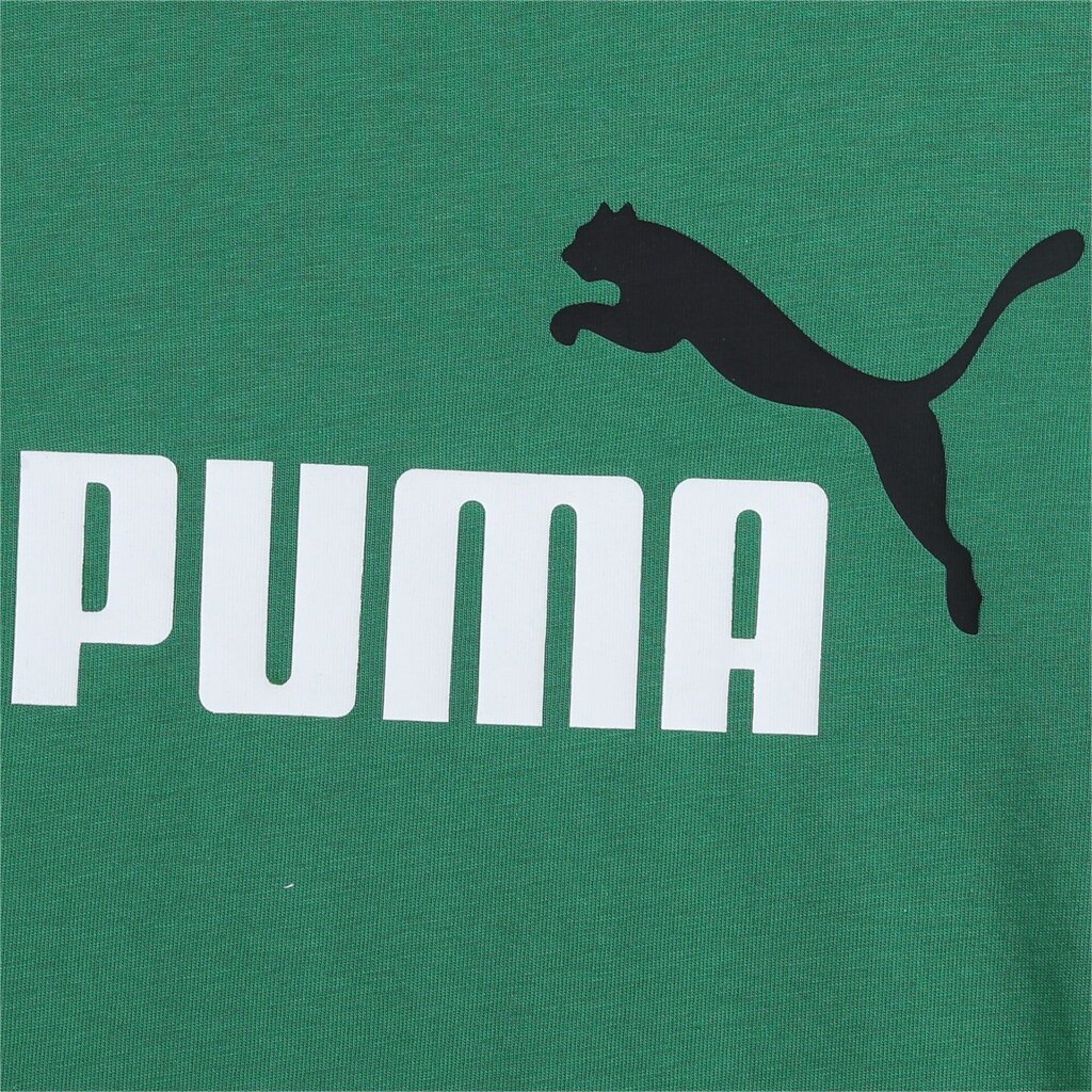 T-särk poistele Puma 586985*76, roheline hind ja info | Poiste särgid | kaup24.ee