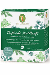 Eeterlike õlide komplekt Primavera Forest Energy 3 x 5 ml hind ja info | Eeterlikud ja kosmeetilised õlid | kaup24.ee
