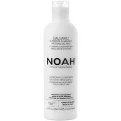 Питательный бальзам, облегчающий расчесывание волос Noah Nourishing Conditioner With Mango and Rice Proteins 250 мл цена и информация | Бальзамы, кондиционеры | kaup24.ee