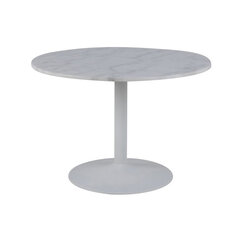 Обеденный стол Tarifa, белый/серый цена и информация | Кухонные и обеденные столы | kaup24.ee