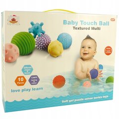Sensoorsete pallide komplekt, 10 tk hind ja info | Imikute mänguasjad | kaup24.ee