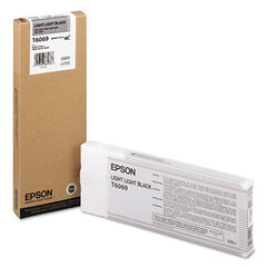 Epson T606900 Light Light Black (EPST606900) hind ja info | Tindiprinteri kassetid | kaup24.ee