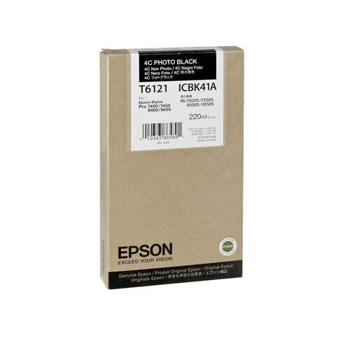 Epson T612100 Photo Black Singlepack цена и информация | Tindiprinteri kassetid | kaup24.ee