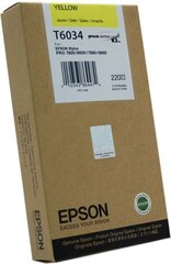 Epson C13T603400 цена и информация | Картриджи для струйных принтеров | kaup24.ee